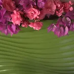 Pasalimani Bed & Breakfast Cesme