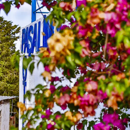 Pasalimani Bed & Breakfast