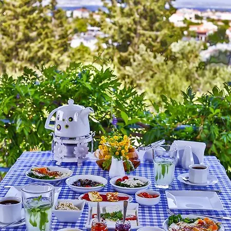 Bed & Breakfast Pasalimani Çeşme