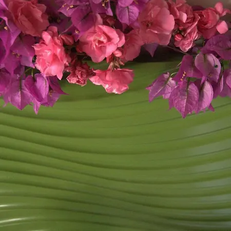 Pasalimani Готель типу 