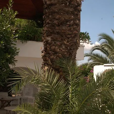 Pasalimani Чешме