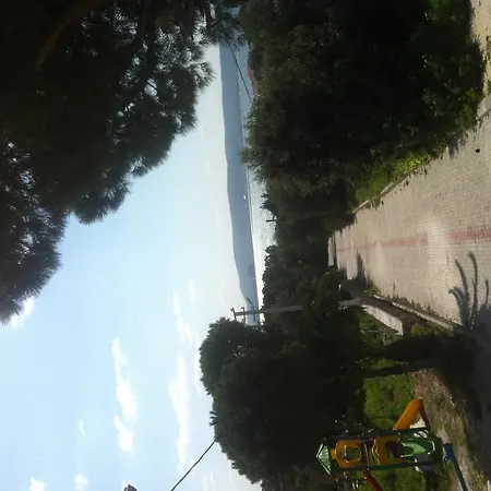 Bed & Breakfast Pasalimani 3*