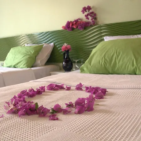 Bed & Breakfast Pasalimani 3*