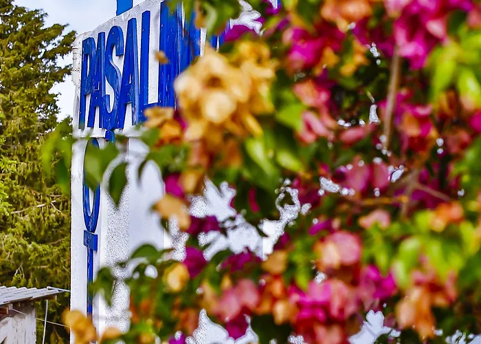 Pasalimani Bed & Breakfast