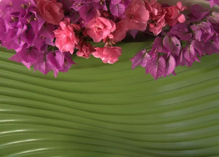 Pasalimani Bed & Breakfast Çeşme