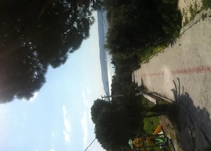 Bed & Breakfast Pasalimani 3*