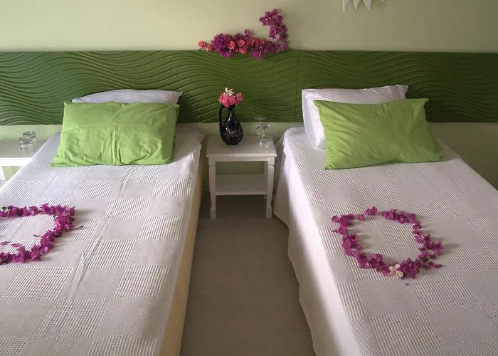 Bed & Breakfast Pasalimani